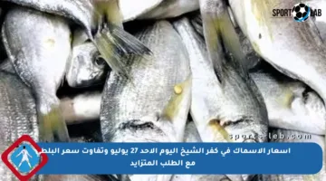 أسعار الأسماك في كفر الشيخ اليوم الأحد 27 يوليو وتفاوت سعر البلطى مع الطلب المتزايد
